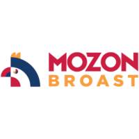 mozon-1-300x300